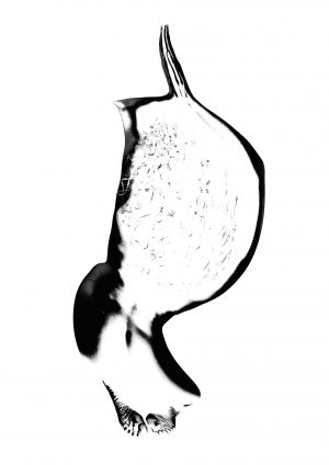 "Echoes Beyond the Veil"